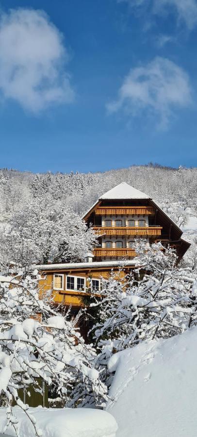 Ehrenmattlehof Faisst Aparthotel Bad Peterstal-Griesbach Esterno foto