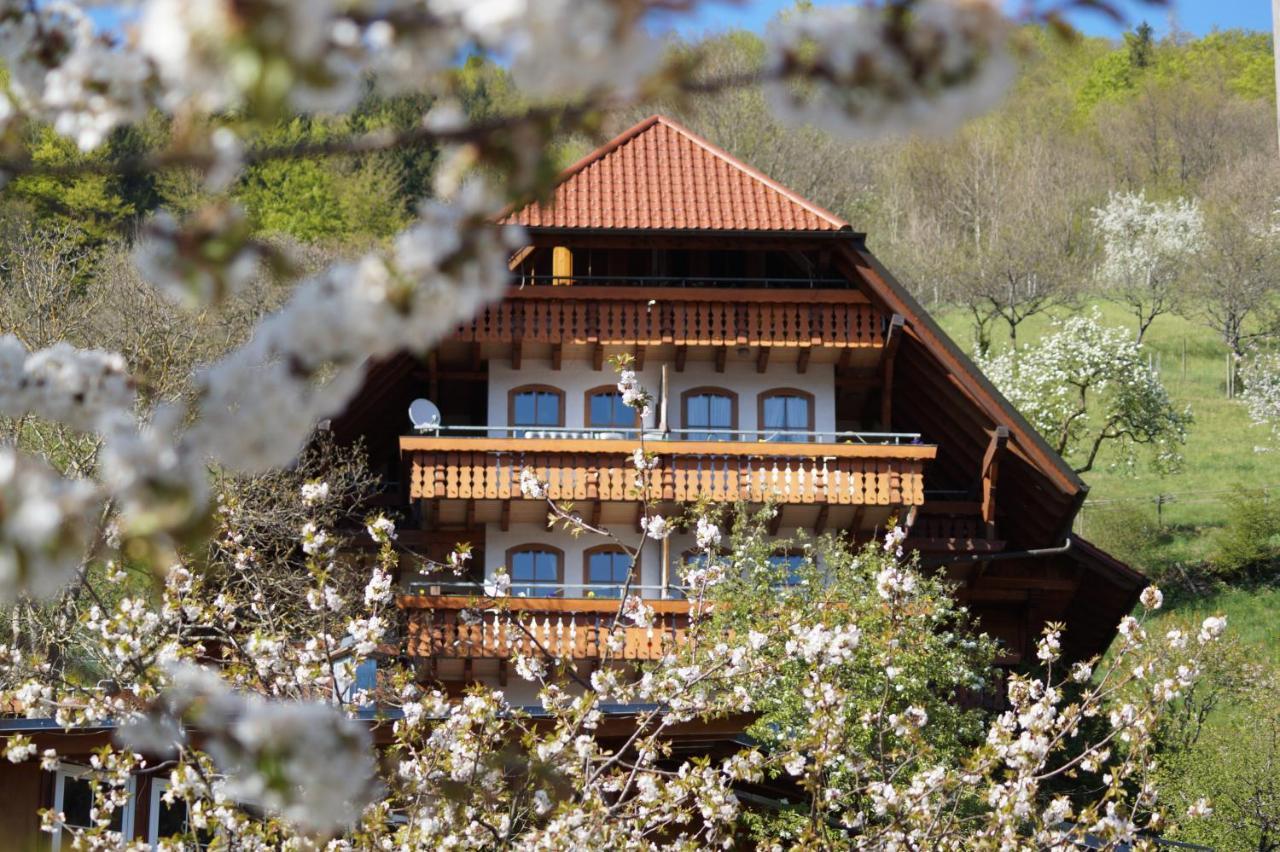 Ehrenmattlehof Faisst Aparthotel Bad Peterstal-Griesbach Esterno foto