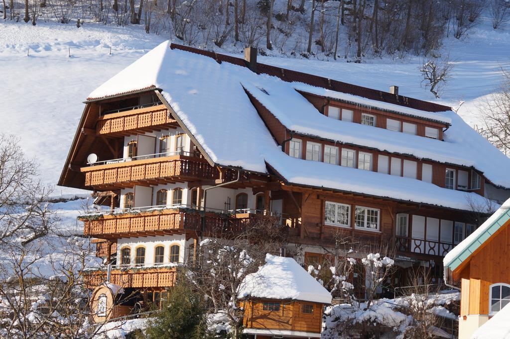 Ehrenmattlehof Faisst Aparthotel Bad Peterstal-Griesbach Esterno foto