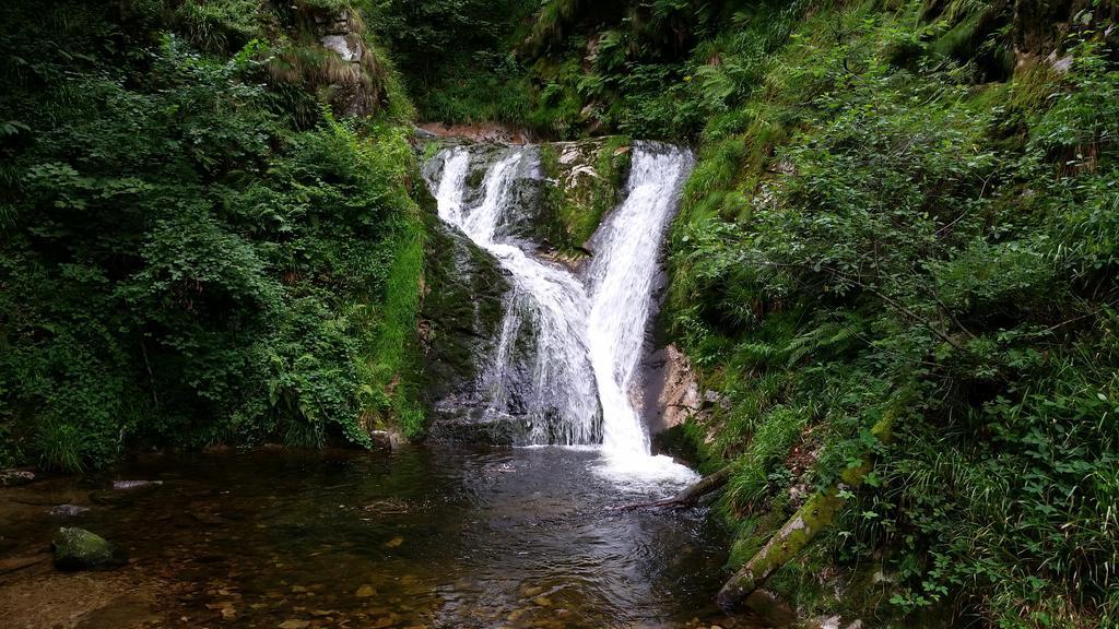 Ehrenmattlehof Faisst Aparthotel Bad Peterstal-Griesbach Esterno foto