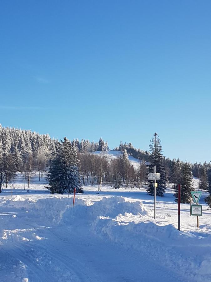 Ehrenmattlehof Faisst Aparthotel Bad Peterstal-Griesbach Esterno foto