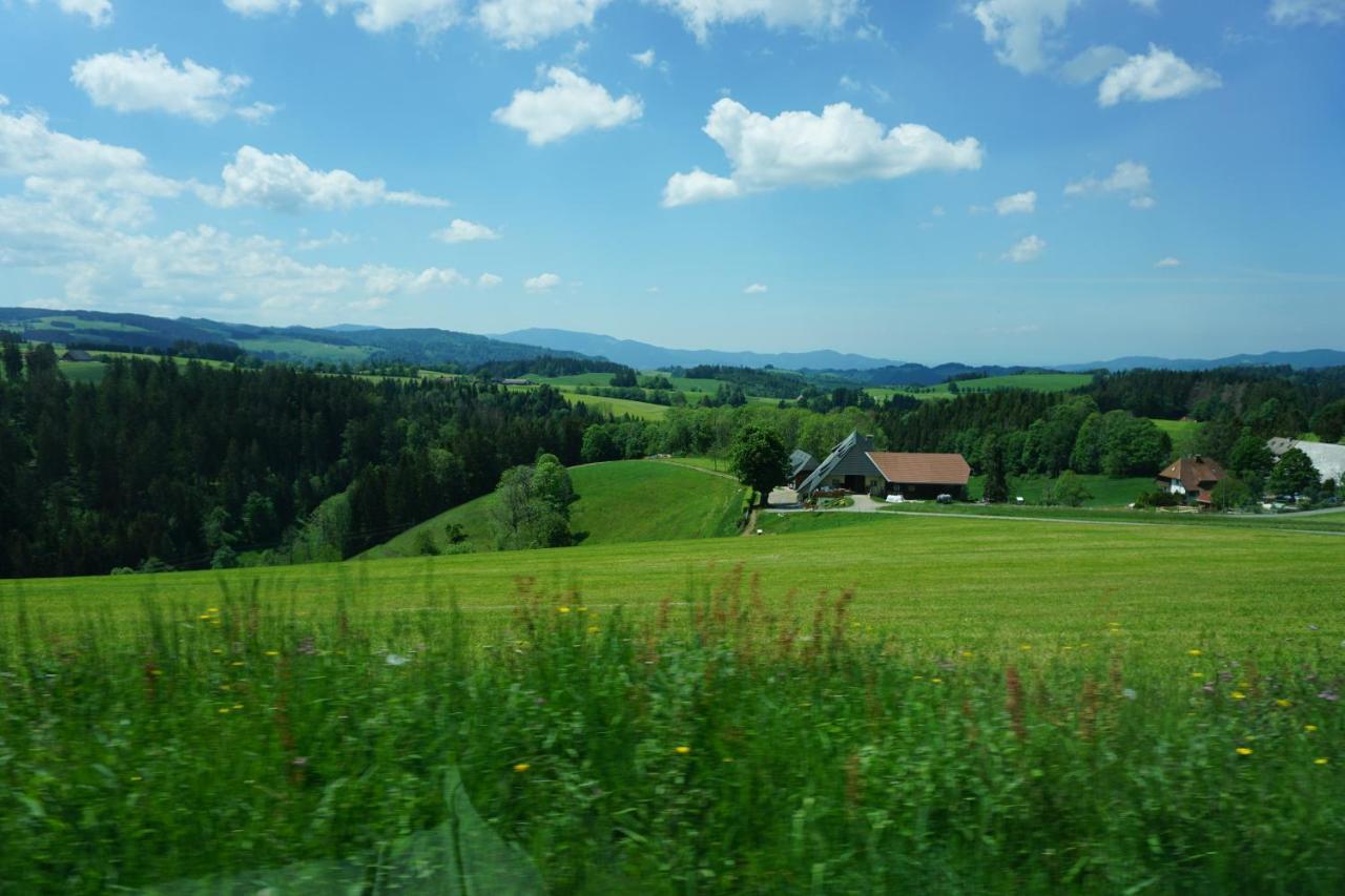 Ehrenmattlehof Faisst Aparthotel Bad Peterstal-Griesbach Esterno foto