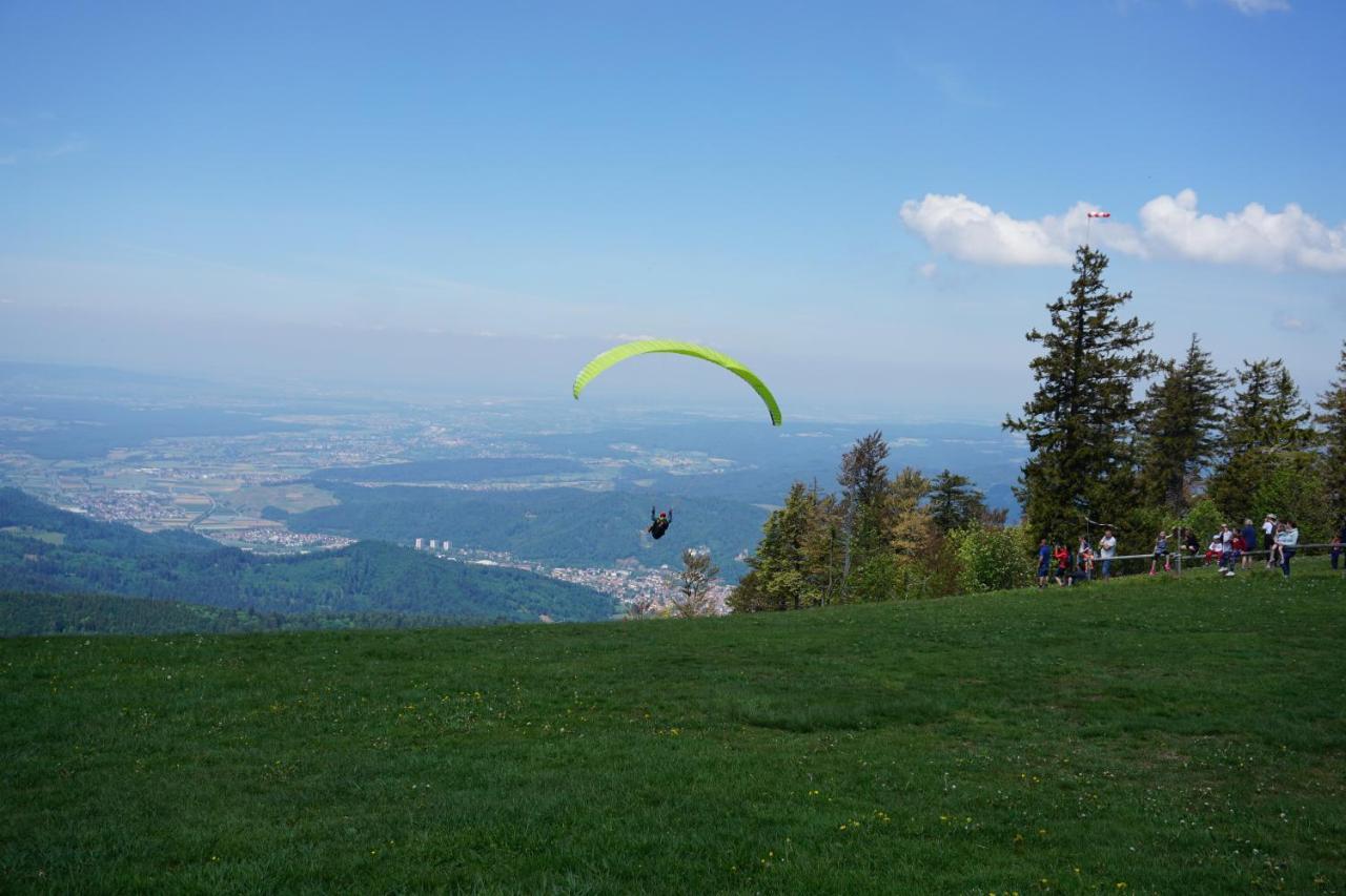 Ehrenmattlehof Faisst Aparthotel Bad Peterstal-Griesbach Esterno foto